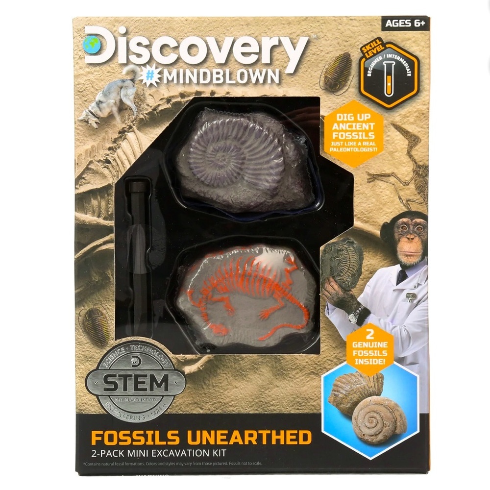 NIB Discovery Fossil Excavation Kit-Perfect for Summer Activities